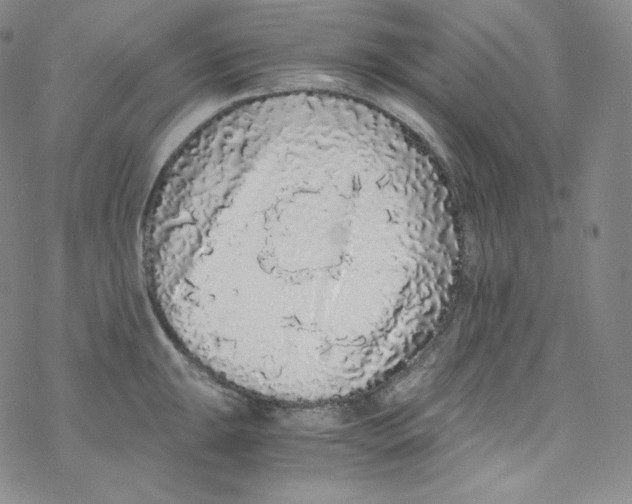 X0000076351047200610272115