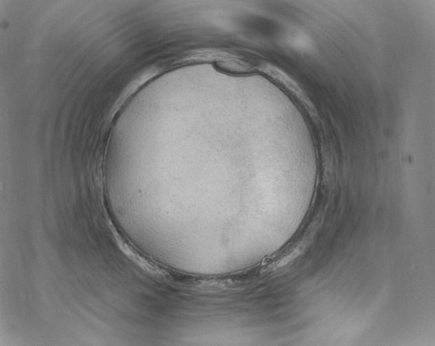 X0000076351049200610272115