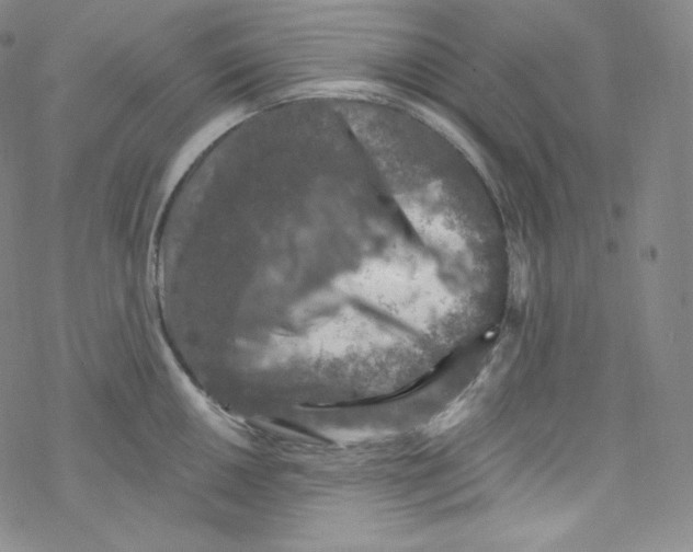 X0000076351050200610272115