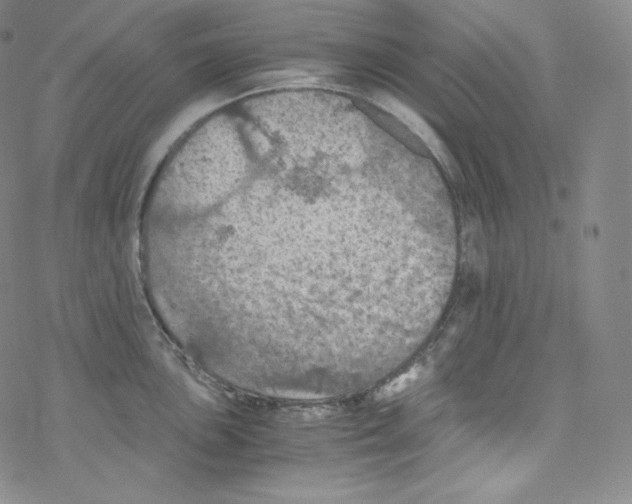 X0000076351051200610272115