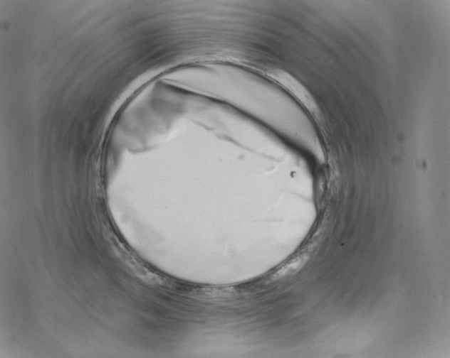 X0000076351052200610272115