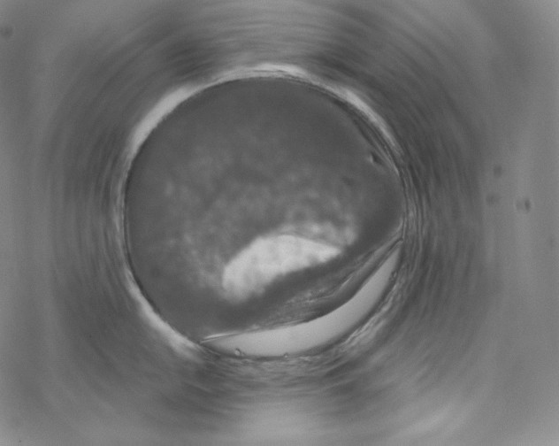 X0000076351054200610272115