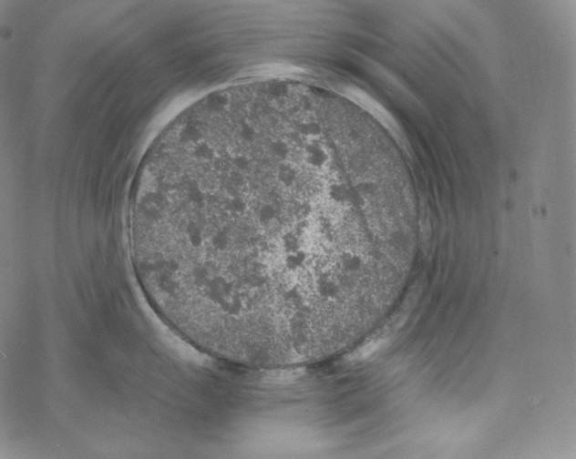 X0000076351055200610272115