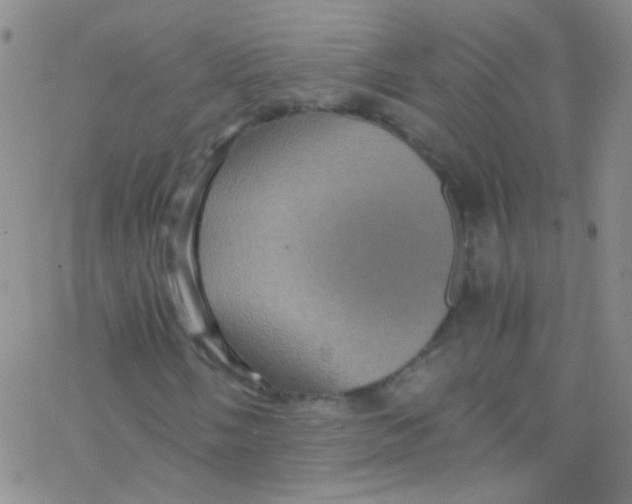 X0000076351058200610272114