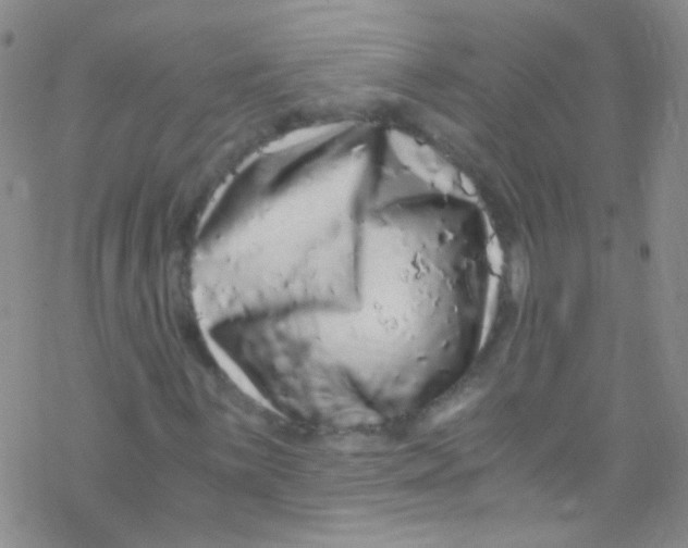 X0000076351059200610272114