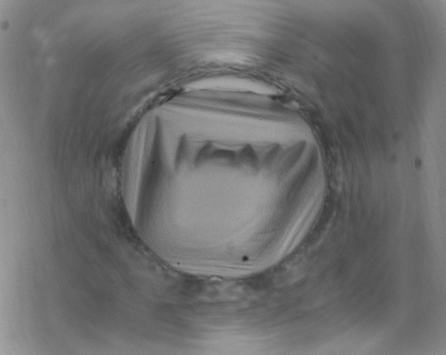 X0000076351061200610272114