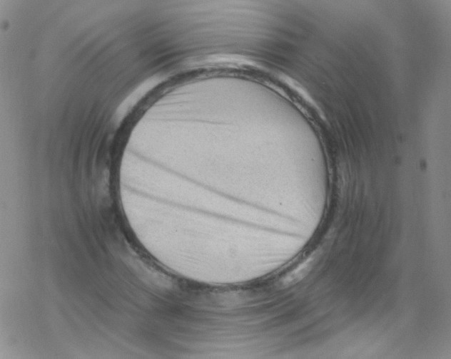 X0000076351066200610272114