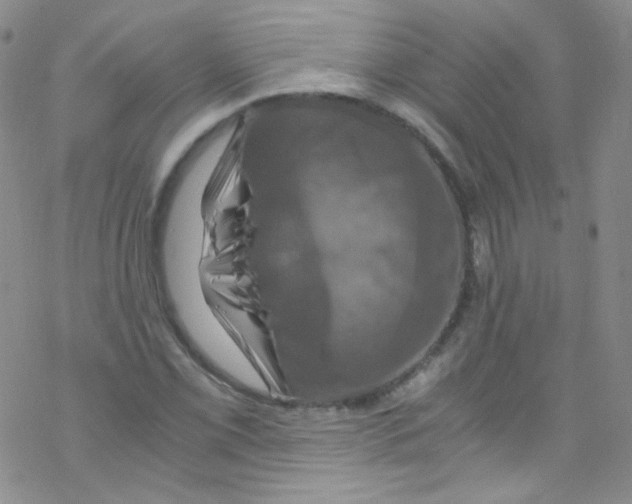 X0000076351069200610272114