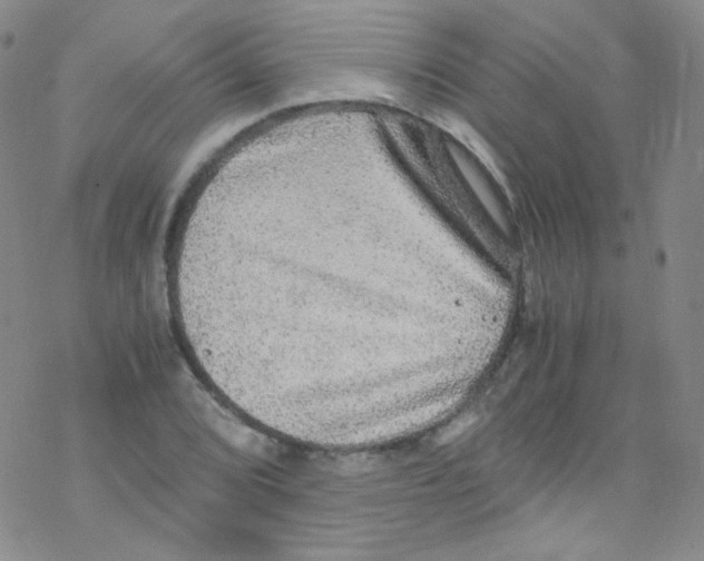 X0000076351072200610272114