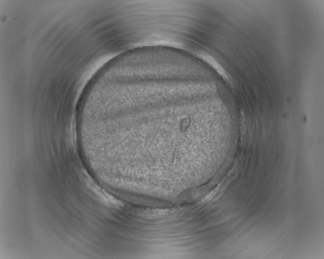 X0000076351076200610272114