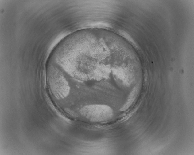 X0000076351079200610272114