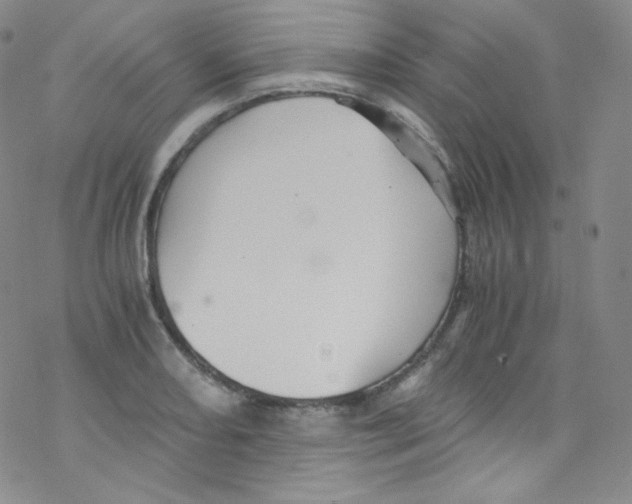 X0000076351082200610272114