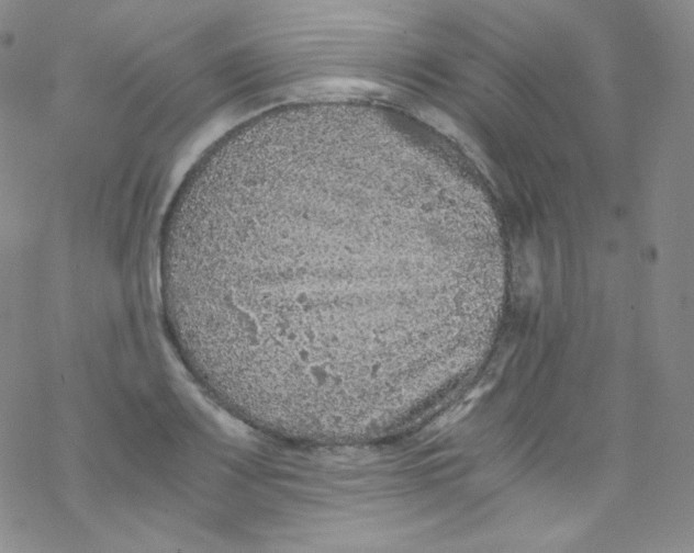 X0000076351083200610272114