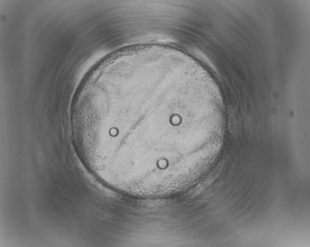 X0000076351087200610272114