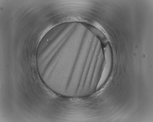 X0000076351089200610272114