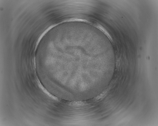 X0000076351092200610272114