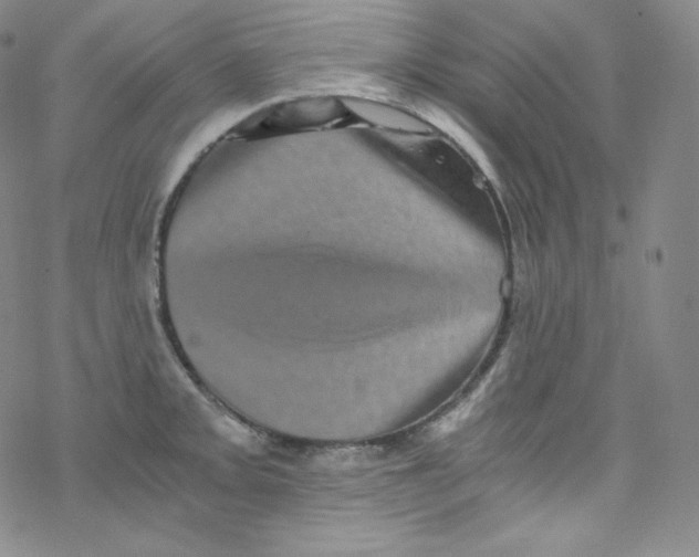 X0000076351093200610272114