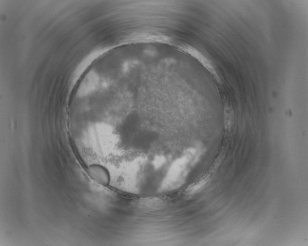 X0000076351094200610272114