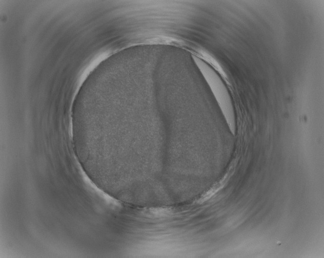 X0000076351095200610272114