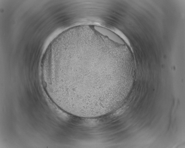 X0000076351096200610272114