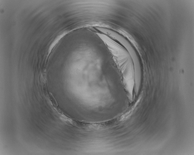 X0000076351097200610272114