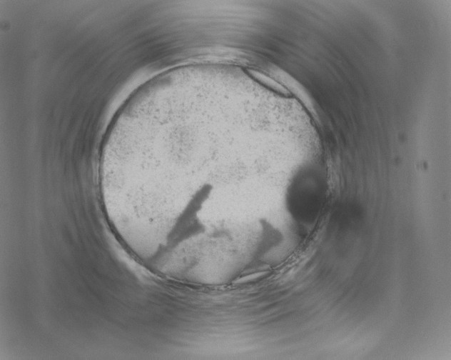 X0000076351099200610272114