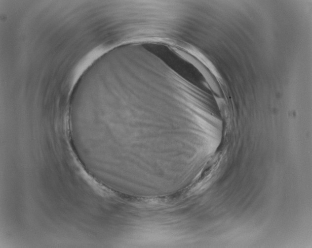 X0000076351101200610272114