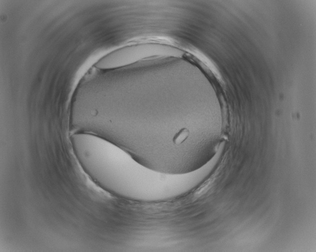 X0000076351102200610272114