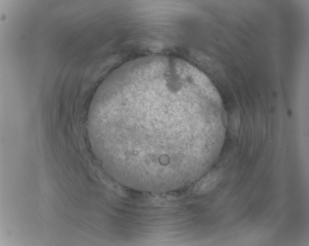 X0000076351105200610272113