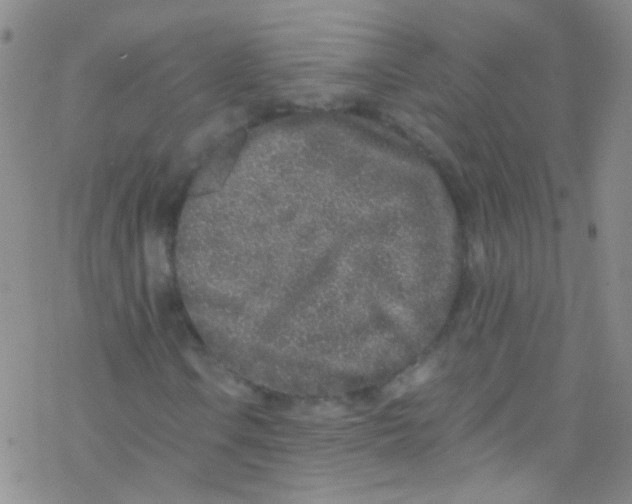 X0000076351106200610272113