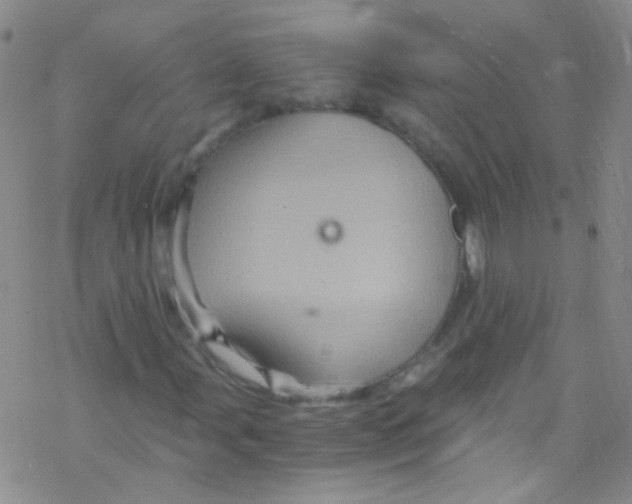 X0000076351107200610272113