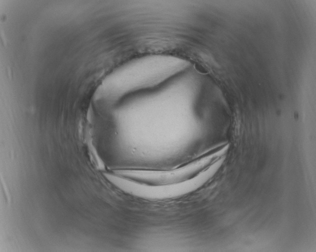 X0000076351109200610272113