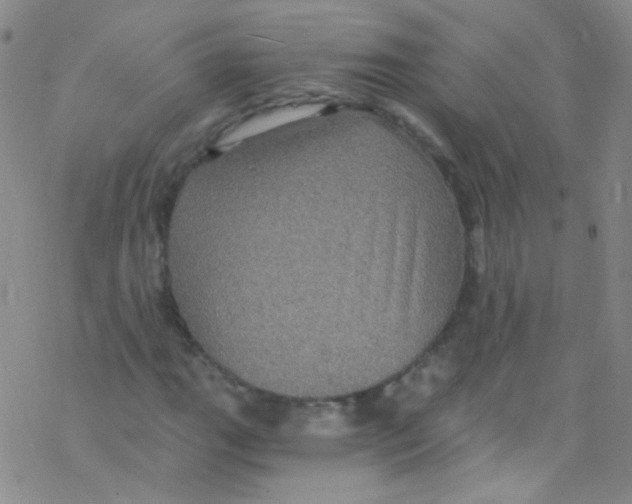 X0000076351111200610272113