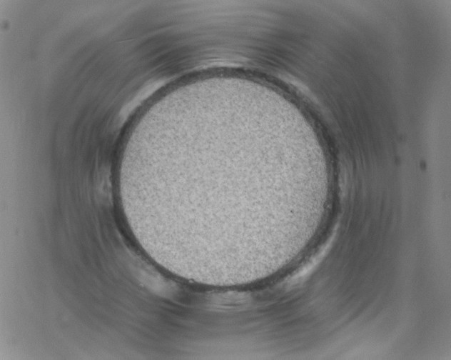 X0000076351113200610272113