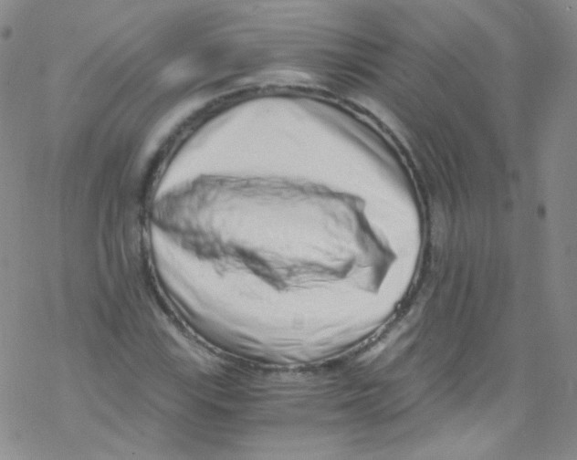 X0000076351115200610272113