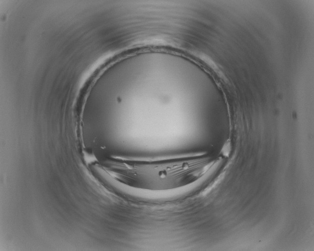 X0000076351118200610272113