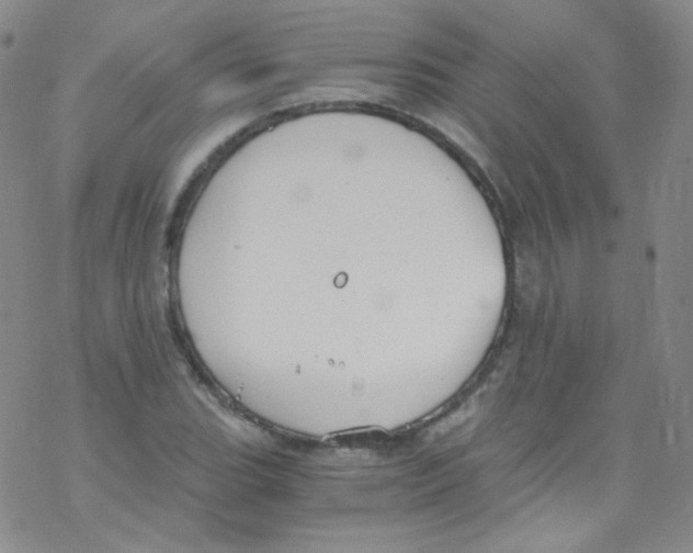 X0000076351119200610272113