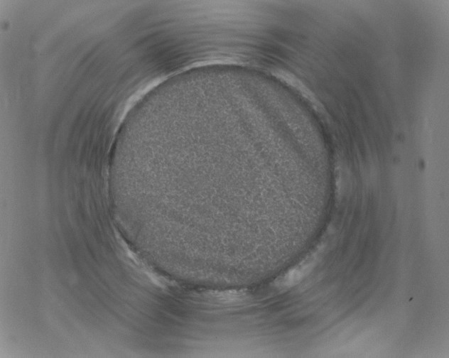 X0000076351121200610272113