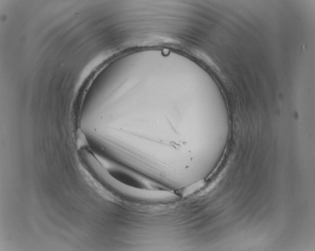 X0000076351122200610272113