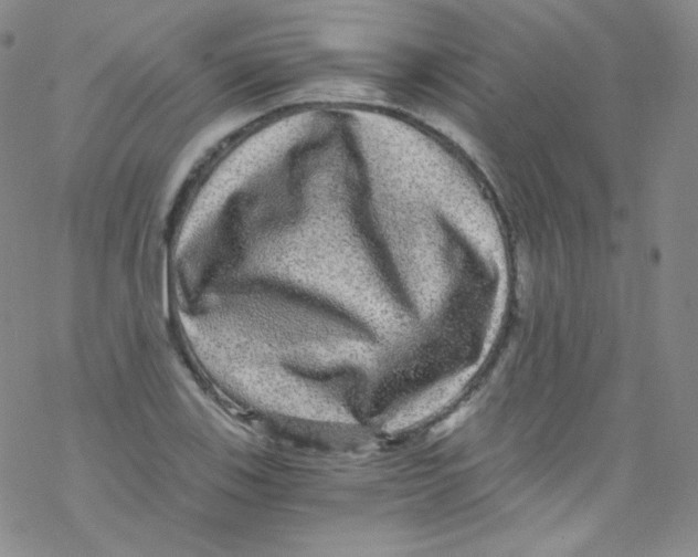 X0000076351123200610272113