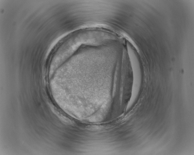 X0000076351124200610272113