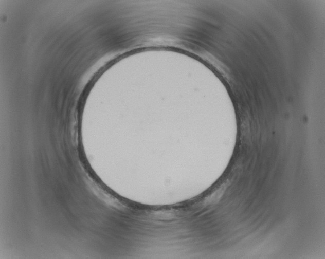 X0000076351126200610272113