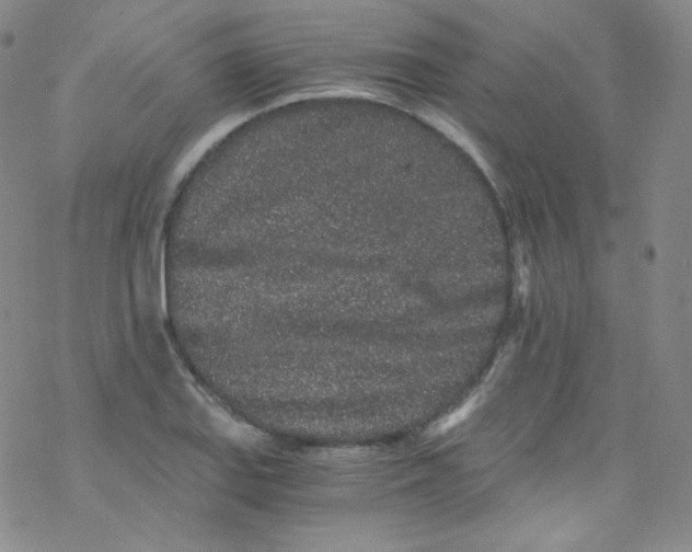 X0000076351127200610272113