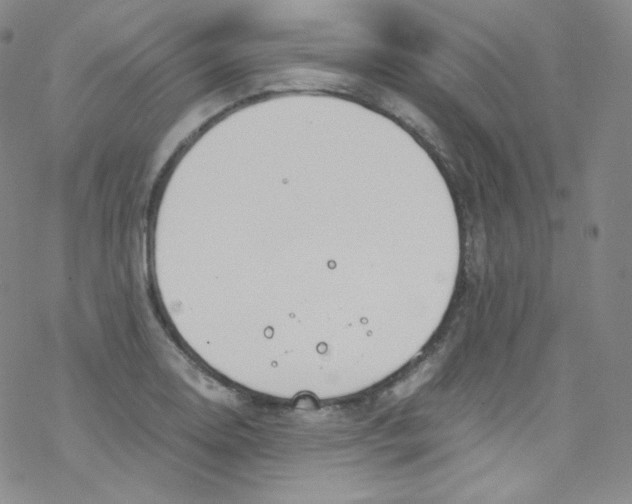 X0000076351130200610272113