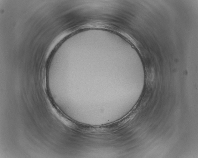 X0000076351131200610272113