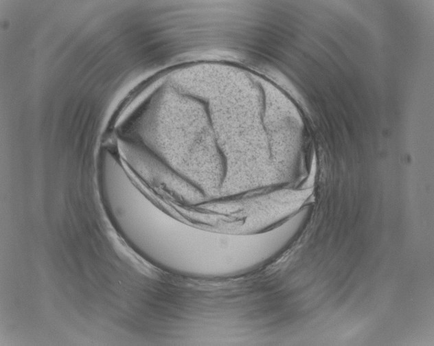 X0000076351132200610272113