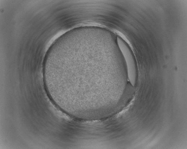 X0000076351133200610272113