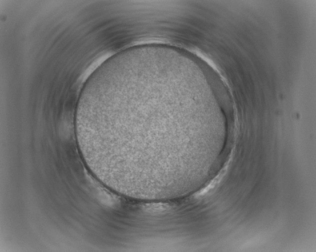 X0000076351137200610272113