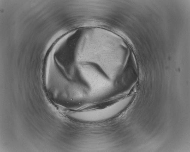 X0000076351138200610272113