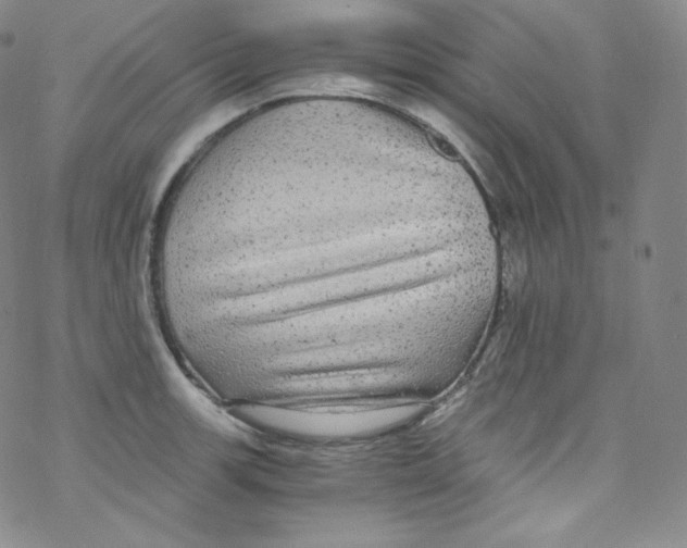 X0000076351139200610272113